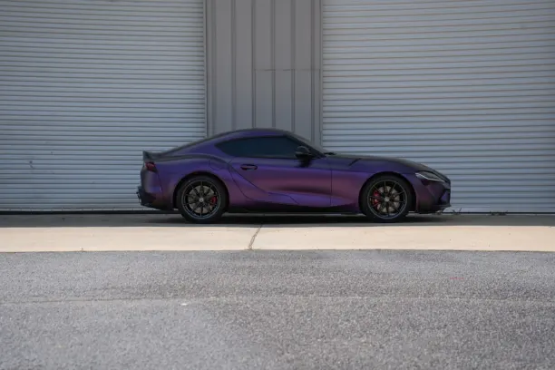 Casino Showreel Bingo Android/iOS App